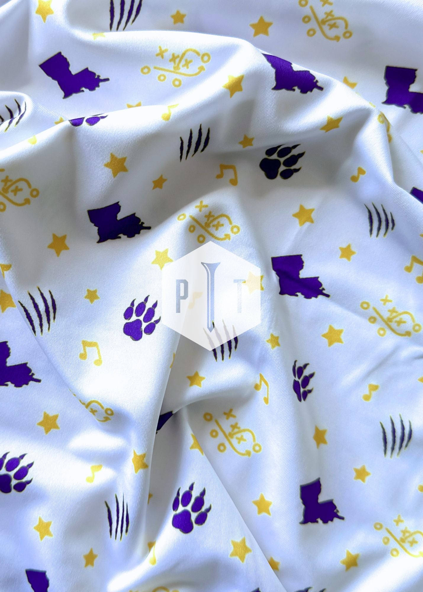 Louisiana Pride Polo 2